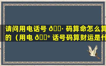 请问用电话号 🕷 码算命怎么算的（用电 💮 话号码算财运是什么套路）